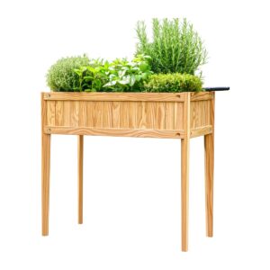 Potager sur pieds en mélèze « Basilic » planté d'herbes aromatiques, sur fond blanc