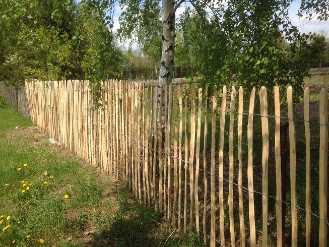 Clôture ganivelle en noisetier posée le long d’un jardin