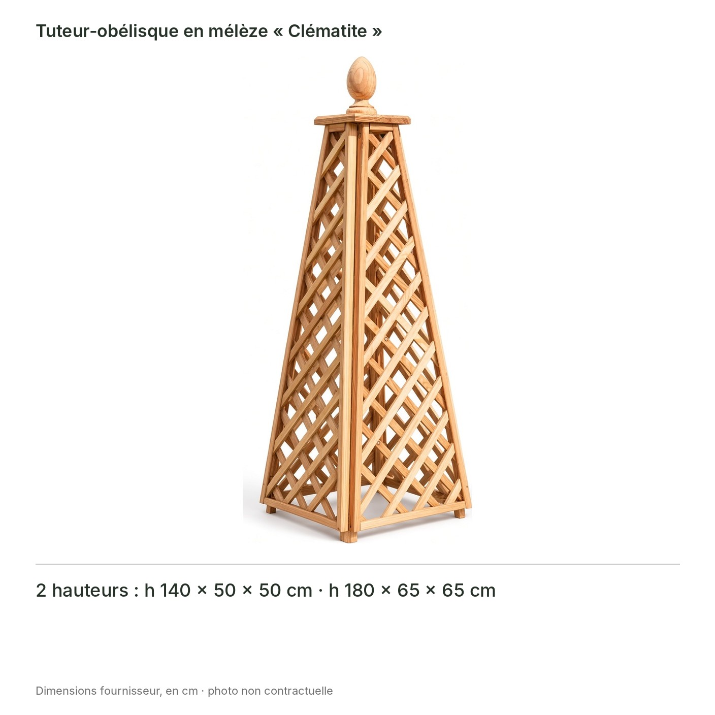 Tuteur-obélisque en mélèze « Clématite » – dimensions